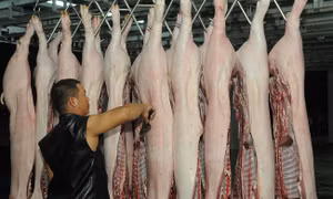 Bình ổn giá, đảm bảo nguồn cung thịt lợn tại khu vực phía Nam