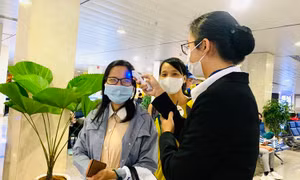 Doanh nghiệp TP Hồ Chí Minh dừng các tour du lịch đến Hải Dương, Quảng Ninh