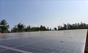 Cần Thơ khai thác tiềm năng điện gió, điện mặt trời