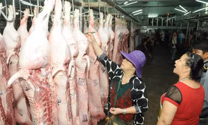 Nguồn cung ít, giá thịt lợn tăng 'chóng mặt' theo ngày