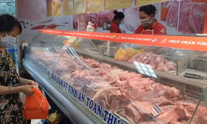 Kết nối trực tiếp nguồn cung với hệ thống phân phối thực phẩm cho TP Hồ Chí Minh