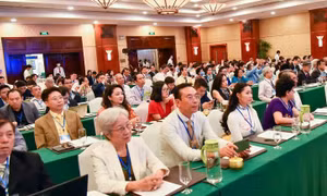 Phát huy sức mạnh kiều bào trong phát triển kinh tế Việt Nam