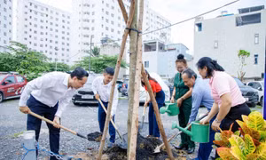 'Vườn cây đại đoàn kết' lan tỏa nếp sống xanh ở TP Hồ Chí Minh