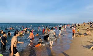 Giải bài toán 'quá tải' du lịch Hè - Bài 1: Nhiều tỉnh phía Nam 'vỡ trận'