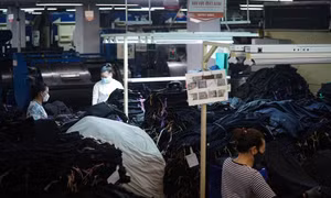 Doanh nghiệp tại TP Hồ Chí Minh thưởng Tết cao nhất gần 1,3 tỷ đồng