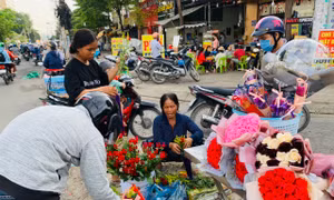 Hoa tươi tăng giá, người mua vẫn tấp nập
