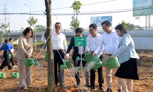 Thành phố Thủ Đức trồng hơn 1 triệu cây xanh, hướng đến mục tiêu 1.800 ha công viên
