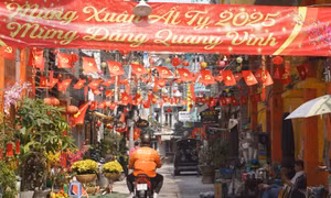 Không khí Tết rực rỡ tại TP Hồ Chí Minh