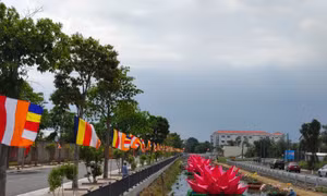 Tạm hoãn cung thỉnh, tôn trí và chiêm bái xá-lợi Trái tim Bồ-tát Thích Quảng Đức