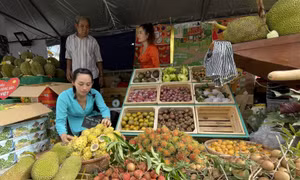 TP Hồ Chí Minh khai mạc Tuần lễ trái cây 'Trên bến dưới thuyền'