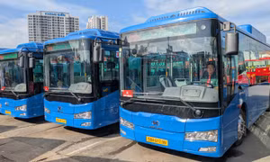 TP Hồ Chí Minh: Lượng người đi xe buýt tăng mạnh nhờ miễn phí vé và chuyển đổi xanh