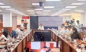 TP Hồ Chí Minh: Nhà dân lún, nứt cạnh dự án Bcons, hai doanh nghiệp bị xử phạt