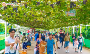 Tour Tết Ất Tỵ, chuyến đi xanh trải nghiệm mới lạ và bền vững