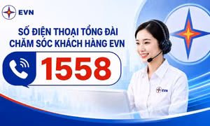 TP Hồ Chí Minh: Tổng đài 1558 tăng thêm kênh hỗ trợ khách hàng sử dụng điện