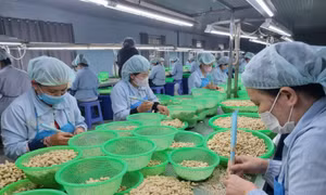 Hiện thực hóa Nghị quyết 68 cần sự đồng hành giữa Nhà nước và doanh nghiệp