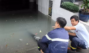TP Hồ Chí Minh: Nhân viên nghỉ làm để dọn dẹp sau bão số 9