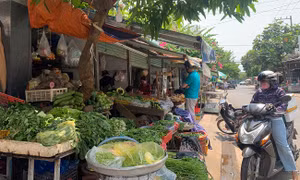 TP Hồ Chí Minh: Thị trường hàng hoá dồi dào, sức mua yếu