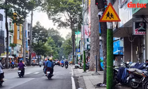 ‘Hóa xanh’ gần 1.300 cột điện ở TP Hồ Chí Minh chống dán quảng cáo rao vặt