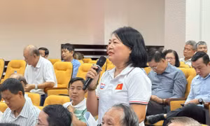 TP Hồ Chí Minh: Cử tri kỳ vọng đại biểu dân cử phải gần dân, vì lợi ích của nhân dân