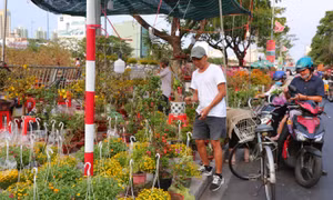 Tấp nập chợ hoa 'Trên bến dưới thuyền' duy nhất tại TP Hồ Chí Minh