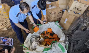 TP Hồ Chí Minh: Mua phải hàng giả, hàng nhái phản ánh ở đâu trong dịp Tết?