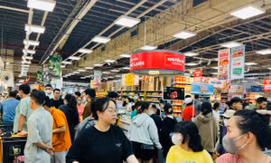 TP Hồ Chí Minh: Huy động nguồn lực đẩy nhanh tiến độ giải ngân đầu tư công