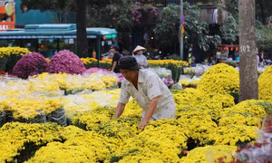 TP Hồ Chí Minh: Các chợ hoa tấp nập người mua sáng 29 Tết