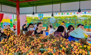 Đẩy mạnh quảng bá nông sản Việt qua Lễ hội trái cây Nam bộ năm 2025