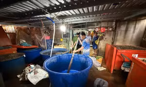 TP Hồ Chí Minh kiểm soát an toàn thực phẩm mùa Tết - Bài 1: Liên tiếp phát hiện vi phạm 