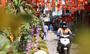 TP Hồ Chí Minh: Rực rỡ sắc màu Tết trên nhiều tuyến đường, con hẻm