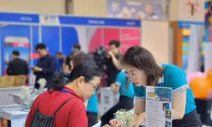 Du lịch Tết 2025 - Bài 1: Tour đa dạng, giá tăng