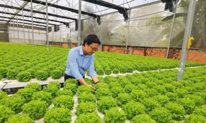 Doanh nghiệp hướng đến sản xuất xanh để giữ vững thị trường xuất khẩu