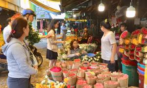 Thị trường hoa, quà tặng 20/10: Giá hoa tươi tăng tới gấp ba ngày thường