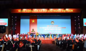 TP Hồ Chí Minh: Chủ động đóng góp trí tuệ, công sức cho sự phát triển chung của đất nước