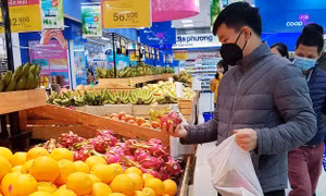 Thành phố Hồ Chí Minh đảm bảo nguồn cung hàng hóa trong mùa dịch virus Corona