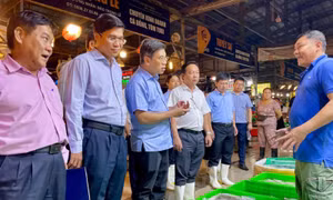 TP Hồ Chí Minh kiểm soát an toàn thực phẩm mùa Tết - Bài 3: Chặn rủi ro ngay từ 'cửa ngõ' chợ đầu mối