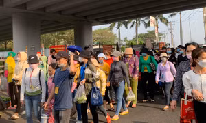 TP Hồ Chí Minh: Đề nghị khởi tố các đơn vị chậm, trốn đóng BHXH, BHTN và BHYT
