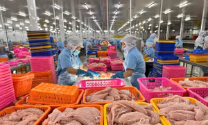 Kinh tế tư nhân - động lực tăng trưởng của TP Hồ Chí Minh