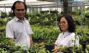 TP Hồ Chí Minh chọn 10 cá nhân tiêu biểu nhận giải thưởng Tôn Đức Thắng năm 2020