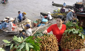 TP Hồ Chí Minh: Đa dạng hoạt động giới thiệu, quảng bá sản phẩm OCOP