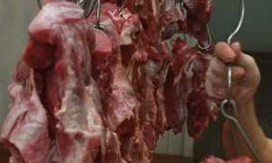 Thịt lợn cuối năm không thiếu, giá ổn định