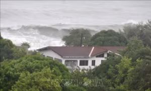 Tình hình bão Đại Tây Dương năm nay sẽ ra sao khi chịu tác động lớn từ El Nino?