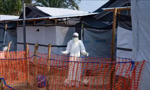 Dịch Ebola: Pháp ghi nhận ca bệnh đầu tiên