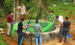 Ấn Độ: Bang Kerala tăng cường ngăn chặn sự lây lan của virus Nipah