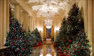 Người Mỹ chuộng cây thông Noel nhân tạo dù giá tăng và phụ thuộc vào hàng nhập khẩu