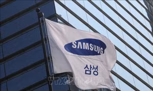 Samsung tuyển mộ nhân tài từ Việt Nam cho cuộc đua AI và bán dẫn
