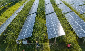 Lượng khí thải CO2 của Trung Quốc ổn định liên tục 18 tháng