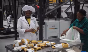 Chính sách thuế 0% của Trung Quốc tạo cú hích cho cà phê Uganda