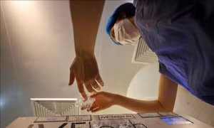 Nghiên cứu 'trẻ hóa' trứng ở phụ nữ hứa hẹn nâng tỷ lệ thành công IVF