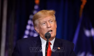 Đảng Dân chủ Mỹ khởi kiện Tổng thống Trump can thiệp hệ thống bỏ phiếu qua thư